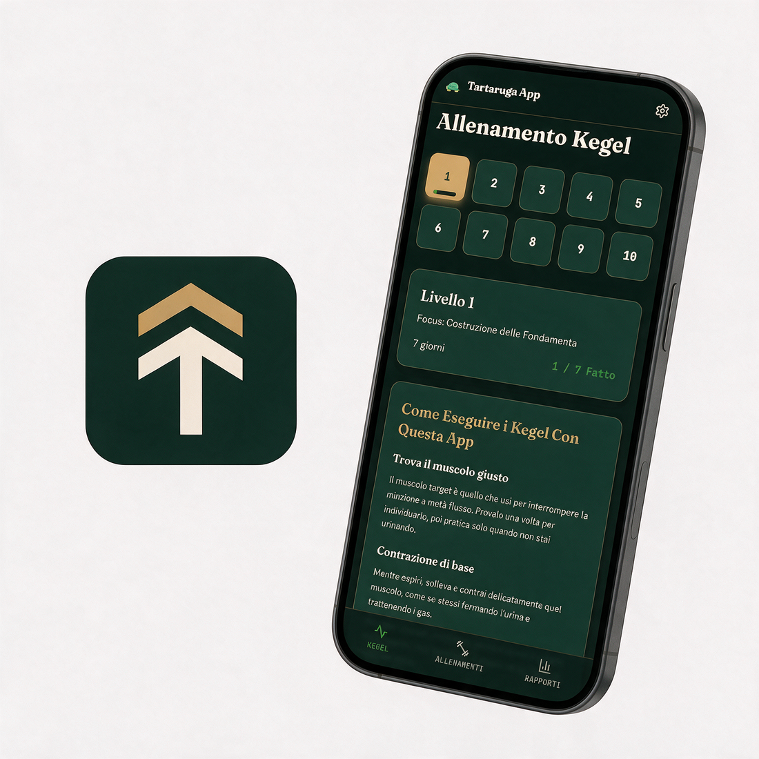 Tartaruga App — timer per gli esercizi del pavimento pelvico