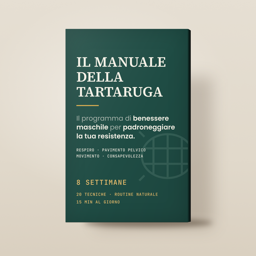 Il Manuale della Tartaruga — copertina del manuale